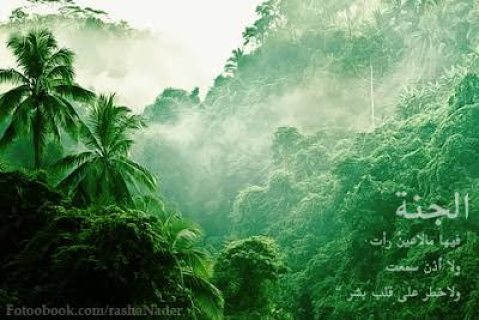 شاب لأعمال النظافه