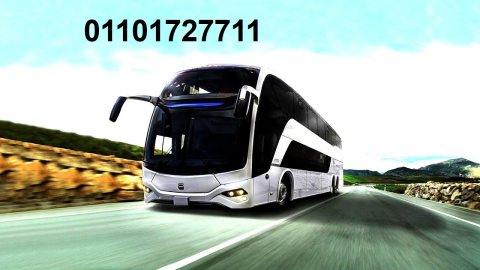 Rent a Mercedes 50 bus for Hurghada trips