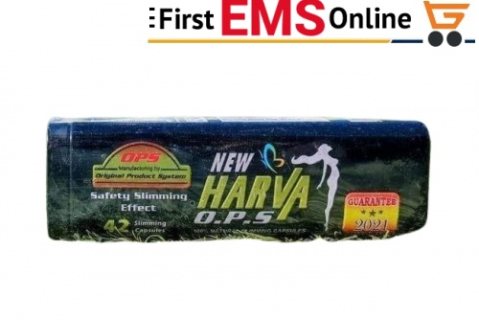 العكاز الطبي دعم عملي لصحة وحركة كبار السن 01012187661 3