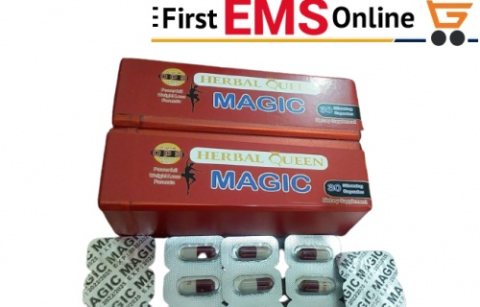 وسادة الجل لدعم واسناد الظهر بفعالية 01012187661 3