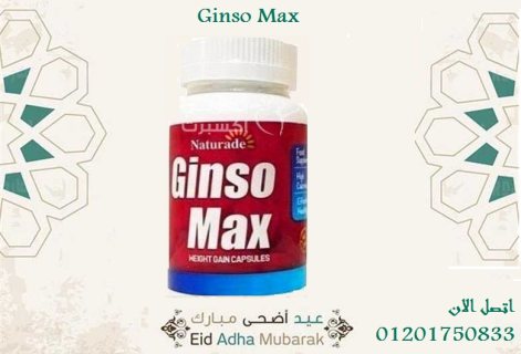كبسولات للتتمتعى بوزنك المثالى  Ginso max   1