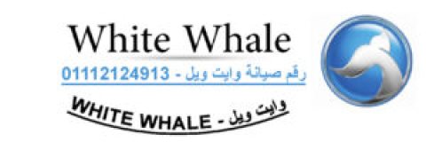 صيانة اعطال وايت ويل بقويسنا 01154008110 1