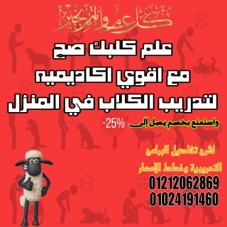 تدريب كلاب في الاسكندريه  1