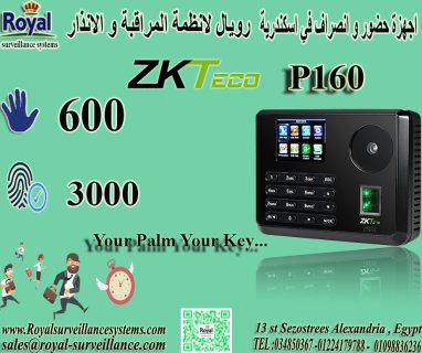 جهاز بصمة Zkteco P160: حضور و انصراف في اسكندرية