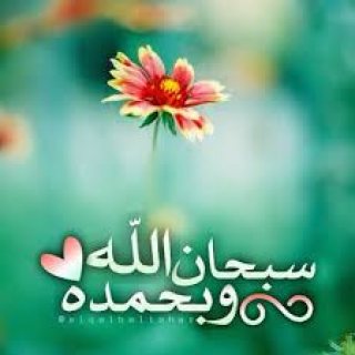 فنى الوميتال ابحث عن فرصه عمل ر 1