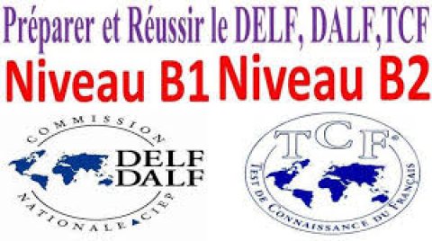 buy DELF and DALF certificates,buy TORFL certificate first class France #diploma