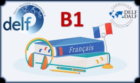buy DELF and DALF certificates,buy TORFL certificate first class France #diploma 3