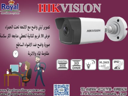 كاميرا مراقبة في اسكندرية 1