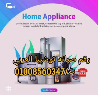 صيانه تلاجات توشيبا العربي بالقاهرة والإسكندرية ت/01008560347 4