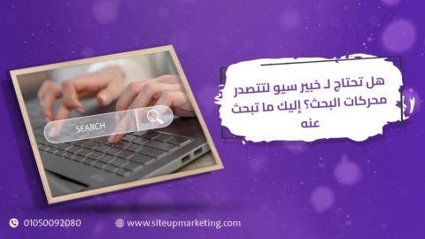 هل تحتاج لـ خبير سيو لتتصدر محركات البحث؟ إليك ما تبحث عنه