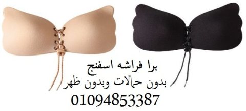 البرا الاسفنج الفراشة بدون حمالات وبدون ظهر01094853387