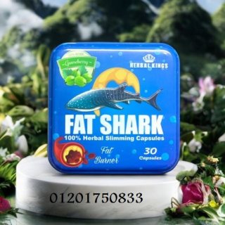 في حرق المزيد من الدهون fat shark  كبسولات