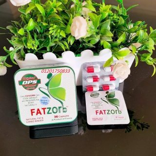 يدمر دهون البطن و الارداف FATZORB   4