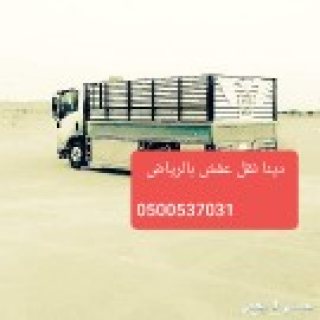 ارقام طش اثاث قديم بالرياض 0500537031 6