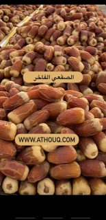 صقعي فاخر طازج 1