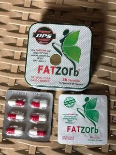 فات زورب الفرنسي للتخسيس FATZORB01013570616