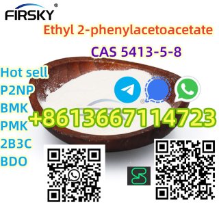 China reliable precursor supplier   Ethyl 2 phenylacetoacetate  8613667114723