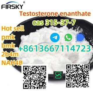 China top chemical precursor supplier Testosterone enanthate +8613667114723