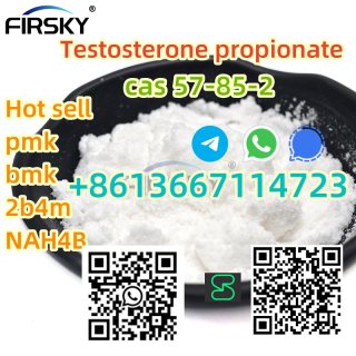 China top chemical precursor supplier Testosterone propionate +8613667114723