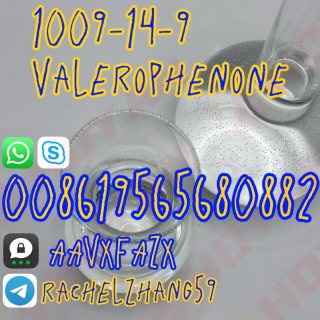 valerophenone liquid colorless 1009-14-9 pick up 
