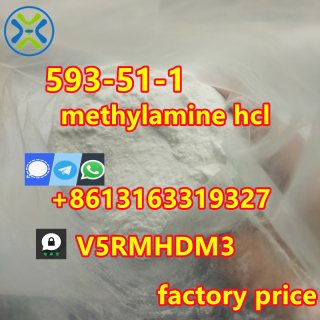Factory price 593-51-1 methylamine hcl powder MMA in stock  1