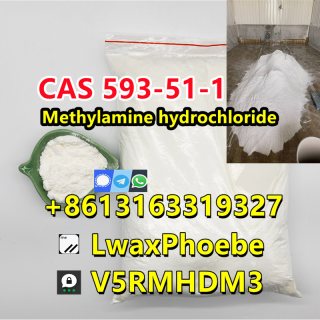 Factory price 593-51-1 methylamine hcl powder MMA in stock  2