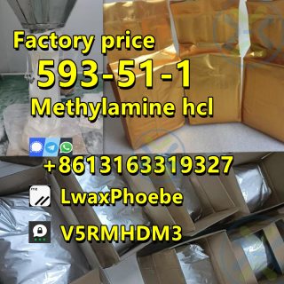Factory price 593-51-1 methylamine hcl powder MMA in stock  3