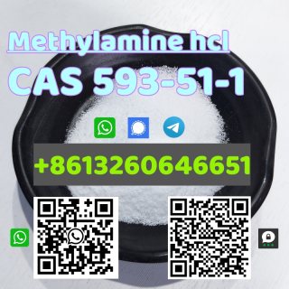 Factory supply CAS 593-51-1 Methylamine hcl safe delivery telegram:@alicezhang