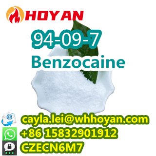 Supply 94-09-7 Benzocaine Powder 40-200 mesh Local Anaesthetic WA:86 15832901912