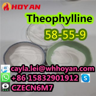 Hot Sale Theophylline Powder CAS:58-55-9 in High Quality WA:+86 15832901912 1