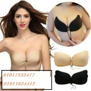 البرا الاسفنج الفراشة بدون حمالات وبدون ظهر01017233477