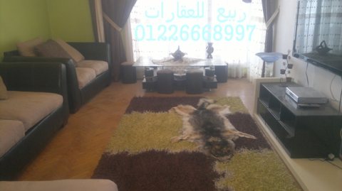 عقارات الاسماعيلية  فنادق الاسماعيلية شقق مفروشة  شقق فندقية 7