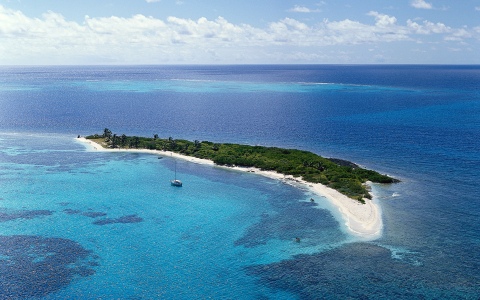 انيق بدور على الرقة