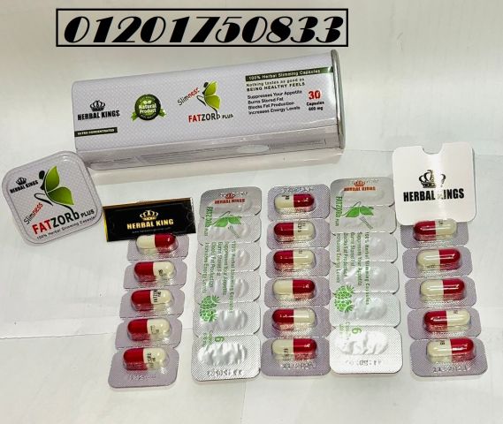 فات زورب بلس للتخسيس FAT ZORB PLUS: