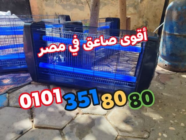 اقوى صاعق ناموس والحشرات الطائره فى مصر من تميمة  01013518080