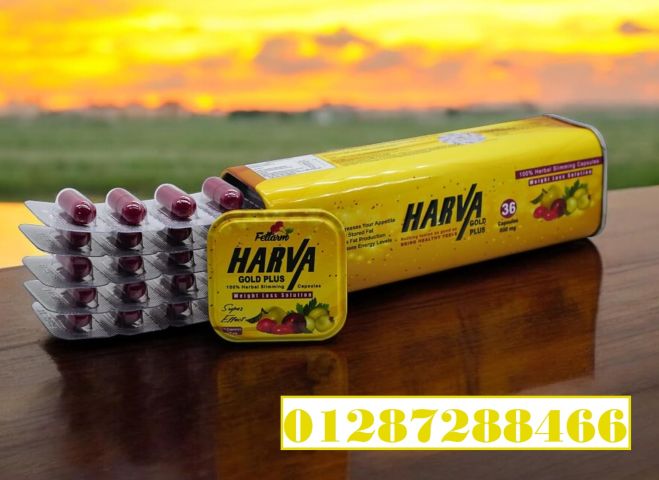 HARVA Gold Plus 600 Mg 36 Capsules الحل المثالي لخسارة الوزن 