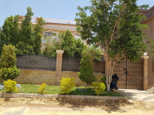 الشيخ زايد 3