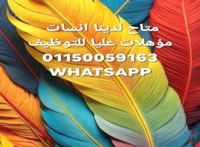 متوفر لدينا انسات مؤهلات عليا للعمل سكرتارية لأصحاب الشركات - مدي