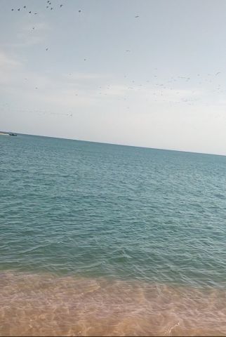 ارض زراعية فى مفيض باريس بالوادى الجديد 2