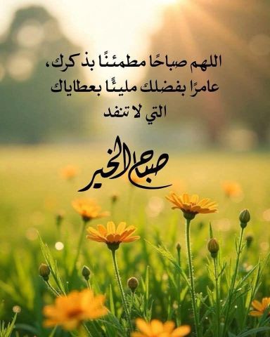 علاقة قائمة على الصدق والاحترام المتبادل