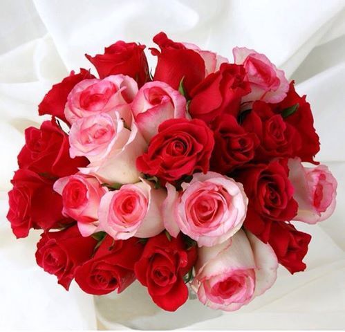 براتب 40000ج مطلوب سكرتيره خاصه 