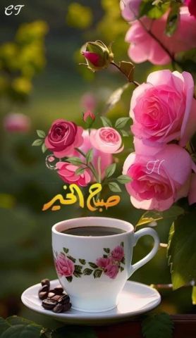 مدام هند لمساج الريلاشن علاقه كامله برايفت 