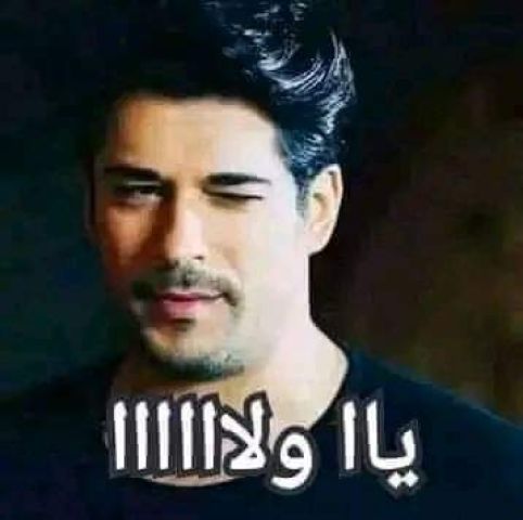 ابحث عن عروسه والله والله غنا جاد افتحي الاعلان