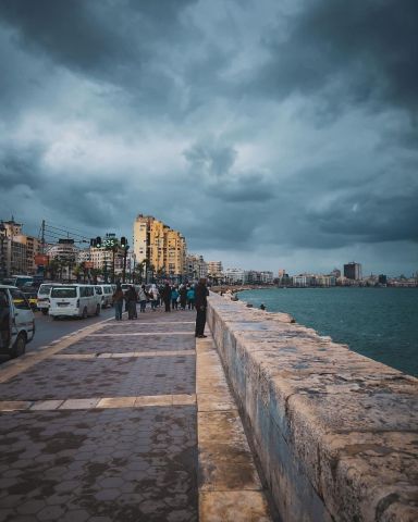 مطلوب بنت ساعتين الاسكندرية 