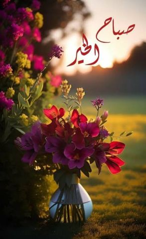 البحث عن اصدقاء  2