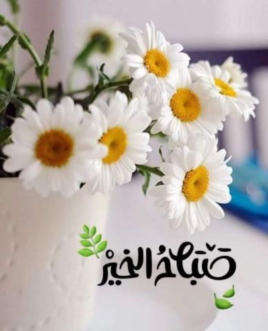 مدام هند للمقابلات البرايفت علاقه كامله vip 