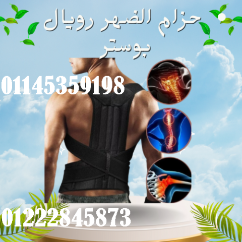 حزام الظهر والعمود الفقري الطبي رويال بوستر - دعم قطني فائق