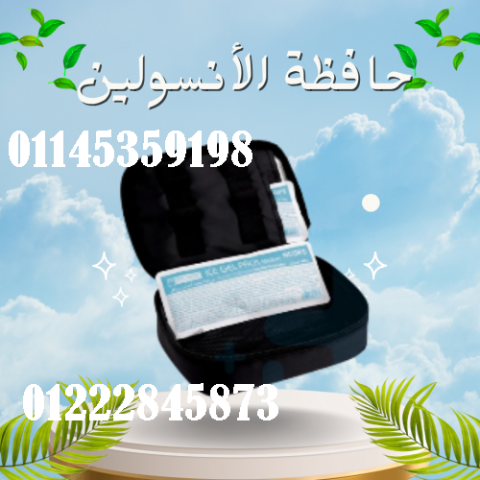 حافظة الأنسولين المتطورة - حفظ الأنسولين بشكل آمن وفعال